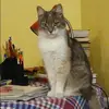 Отзыв от Екатерина Костина
